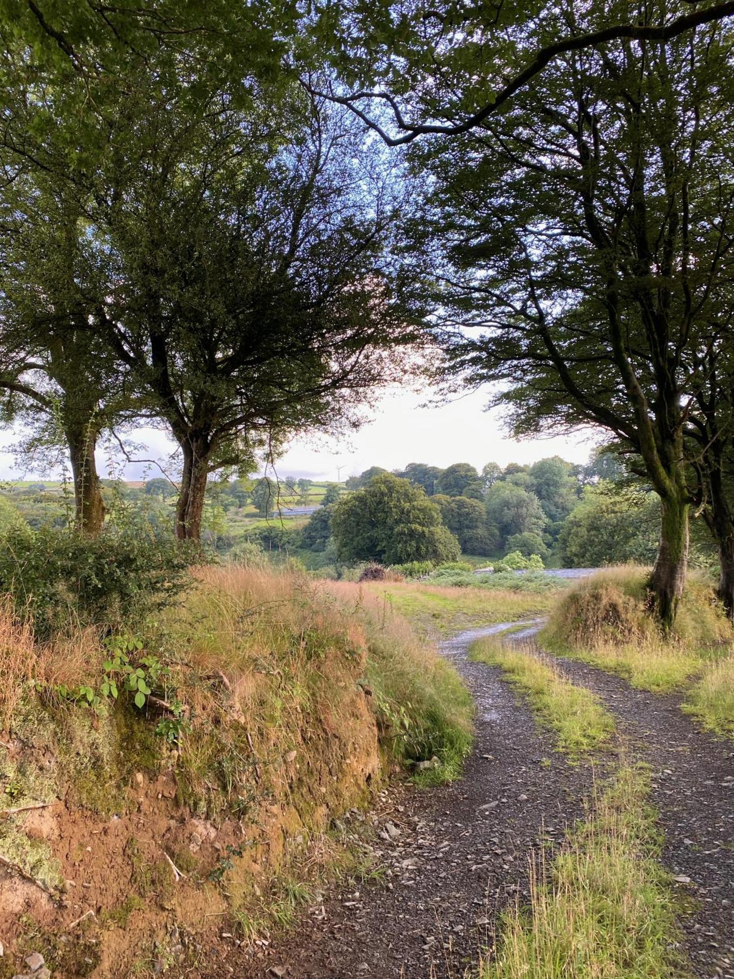 Appartamento Charming Countryside Barn Pencader (Carmarthenshire)